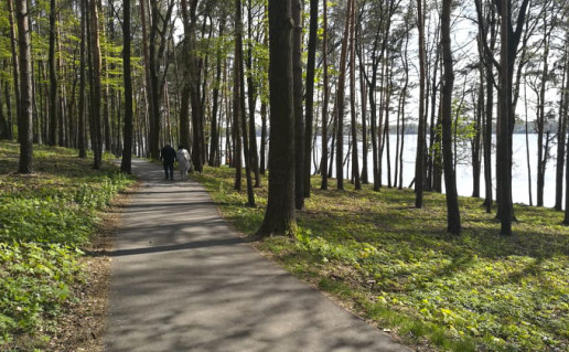 29_Pazaislio dviraciu takas3.jpg